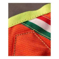 Bitrabi - Sicur Kevlar Beskyttelsesvest Til Hund -Nordisko Butik Bitrabi Sicur hundevest 03.w610.h610.fill