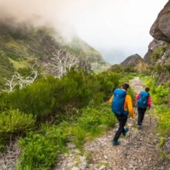 Osprey - Kestrel 58 Vandrerygsæk (58L) 19 Osprey - Kestrel 58 Vandrerygsæk (58L) -Nordisko Butik Osprey Kestrel 58 Vandrerygsaek 05.w610.h610.fill