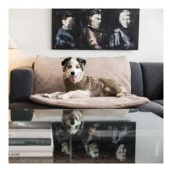 Siccaro - FlexDog Tørremåtte Til Hunde 90x110 Cm -Nordisko Butik Siccaro FlexDog Toerremaatte Til Hunde 70x110cm 04.w610.h610.fill 1