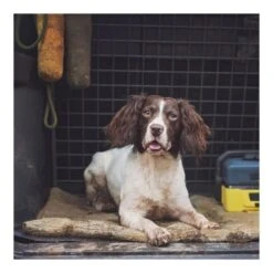 Siccaro - FlexDog Tørremåtte Til Hunde 90x110 Cm -Nordisko Butik Siccaro FlexDog Toerremaatte Til Hunde 70x110cm 05.w610.h610.fill 1