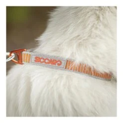 Siccaro - Sealines Hundehalsbånd 9 Siccaro - Sealines Hundehalsbånd -Nordisko Butik Siccaro sealines halsbaand orange 03.w610.h610.fill