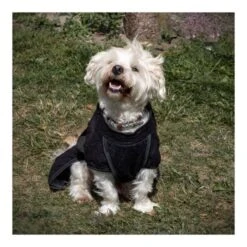 Siccaro - Smart Tørredragt Til Hunde -Nordisko Butik Siccaro smart toerredragt sort 04.w610.h610.fill