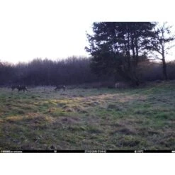 Burrel - S12 HD+SMS Pro Vildtkamera 4G (MMS/Mail) 23 Burrel - S12 HD+SMS Pro Vildtkamera 4G (MMS/Mail) -Nordisko Butik burrel edge hd3g vildtkamera 10.w610.h610.fill