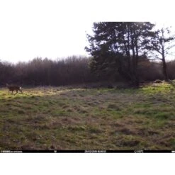 Burrel - S12 HD+SMS Pro Vildtkamera 4G (MMS/Mail) 22 Burrel - S12 HD+SMS Pro Vildtkamera 4G (MMS/Mail) -Nordisko Butik burrel edge hd3g vildtkamera 11.w610.h610.fill