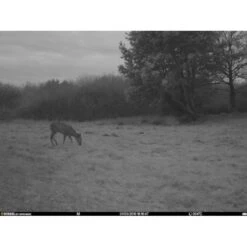 Burrel - S12 HD+SMS Pro Vildtkamera 4G (MMS/Mail) 21 Burrel - S12 HD+SMS Pro Vildtkamera 4G (MMS/Mail) -Nordisko Butik burrel edge hd3g vildtkamera 12.w610.h610.fill