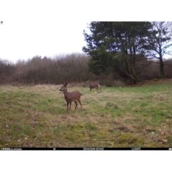 Burrel - S12 HD+SMS Pro Vildtkamera 4G (MMS/Mail) 20 Burrel - S12 HD+SMS Pro Vildtkamera 4G (MMS/Mail) -Nordisko Butik burrel edge hd3g vildtkamera 13.w610.h610.fill