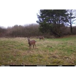 Burrel - S12 HD+SMS Pro Vildtkamera 4G (MMS/Mail) 19 Burrel - S12 HD+SMS Pro Vildtkamera 4G (MMS/Mail) -Nordisko Butik burrel edge hd3g vildtkamera 14.w610.h610.fill