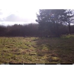 Burrel - S12 HD+SMS Pro Vildtkamera 4G (MMS/Mail) 27 Burrel - S12 HD+SMS Pro Vildtkamera 4G (MMS/Mail) -Nordisko Butik burrel edge hd3g vildtkamera 15.w610.h610.fill