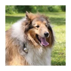 Coghlan's - Hundeklokke Med Karabin 7 Coghlan's - Hundeklokke Med Karabin -Nordisko Butik coghlans CG2125 hundeklokke 03.w610.h610.fill